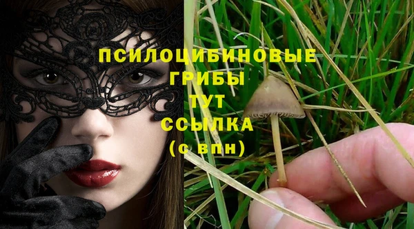 не бодяженный Алексин