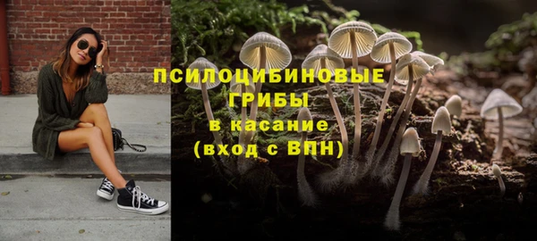 не бодяженный Алексин