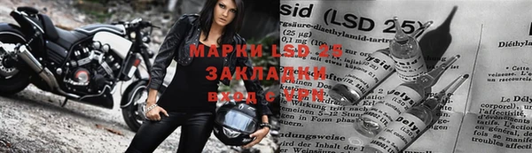 мяу мяу мука Алзамай