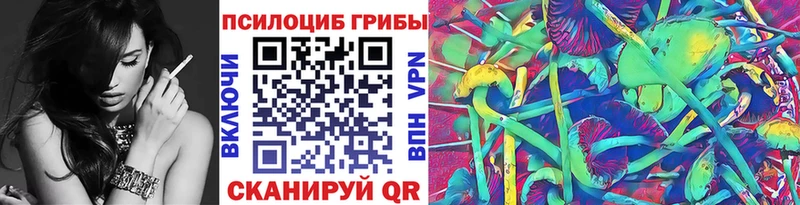 Галлюциногенные грибы Psilocybe  закладка  Махачкала 
