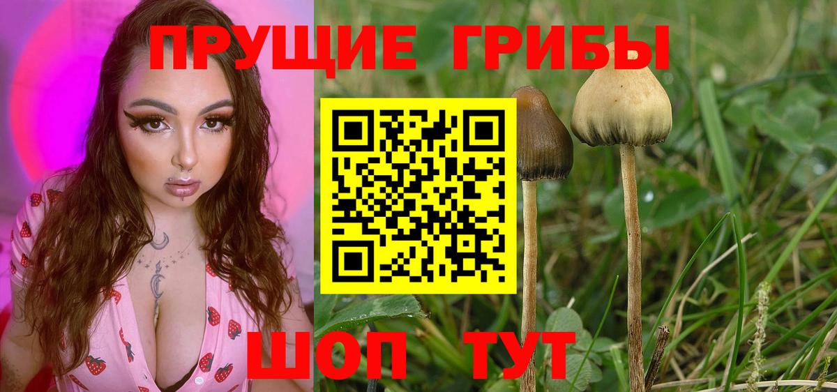Псилоцибиновые грибы Psilocybe  Вход с VPN  Галлюциногенные грибы Magic Shrooms  Махачкала 
