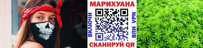 как найти закладки Махачкала Бошки марихуана тримм